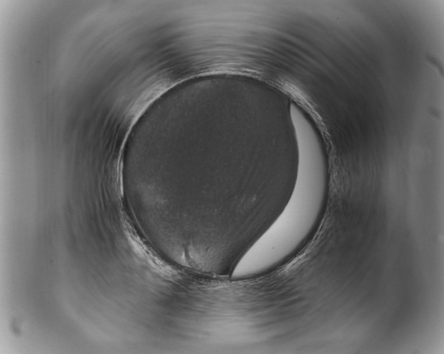 X0000100420892200806201820
