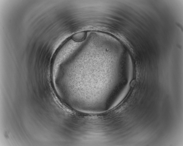 X0000100420896200806201820