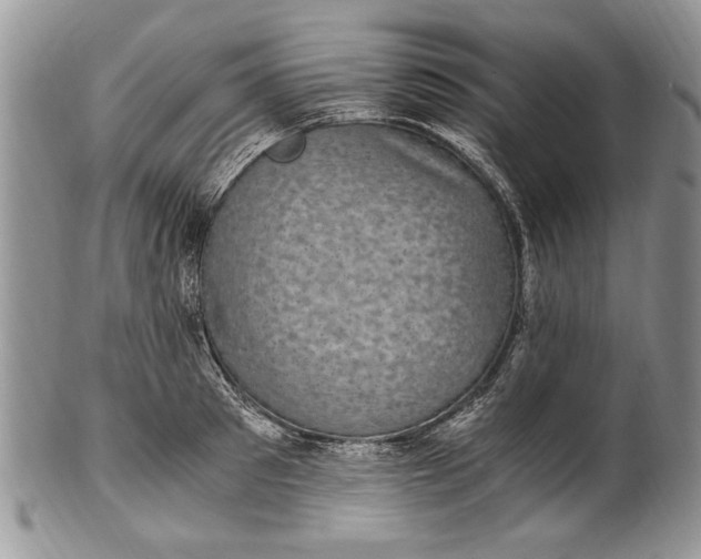 X0000100420897200806201820
