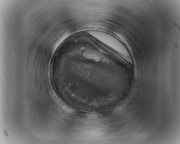 X0000100420899200806201820