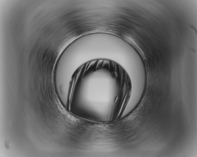 X0000100420900200806201820