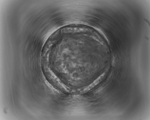 X0000100420903200806201820