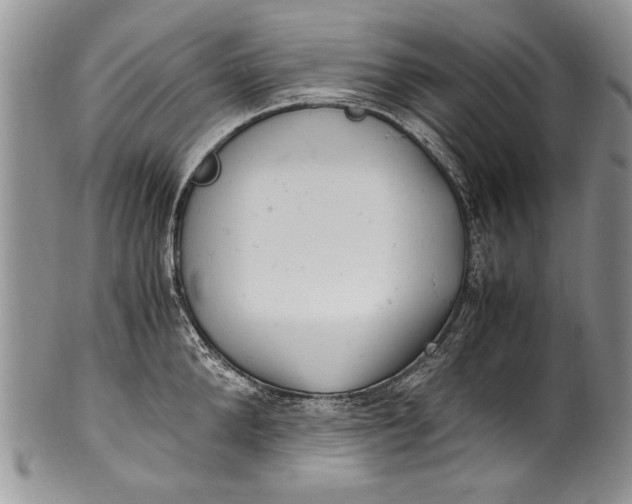 X0000100420904200806201820
