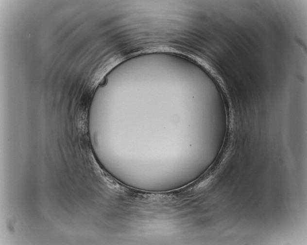 X0000100420905200806201820