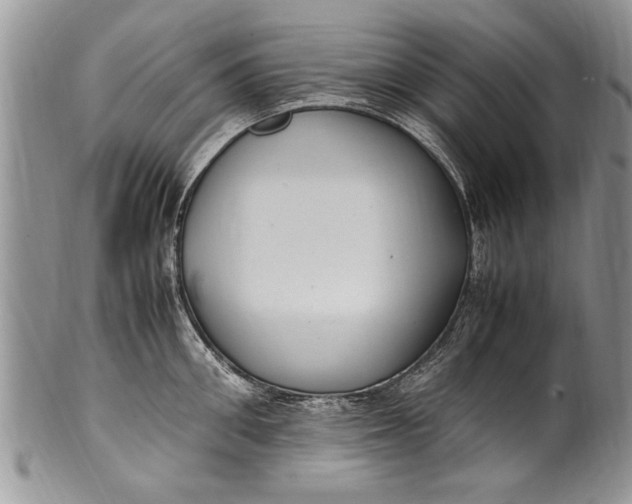 X0000100420906200806201820