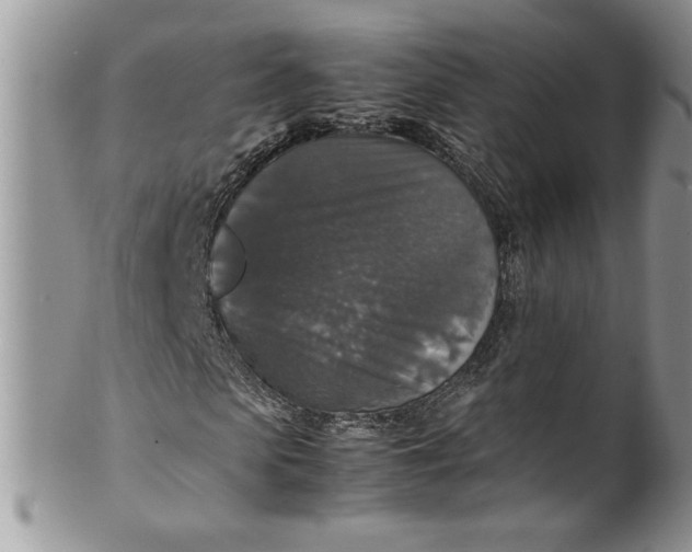 X0000100420913200806201819