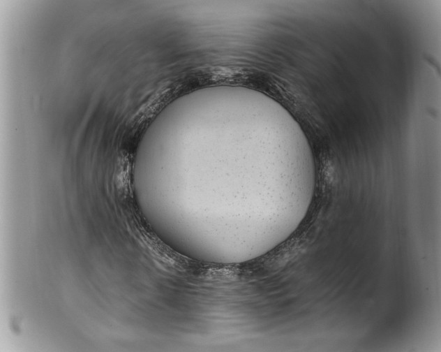 X0000100420914200806201819