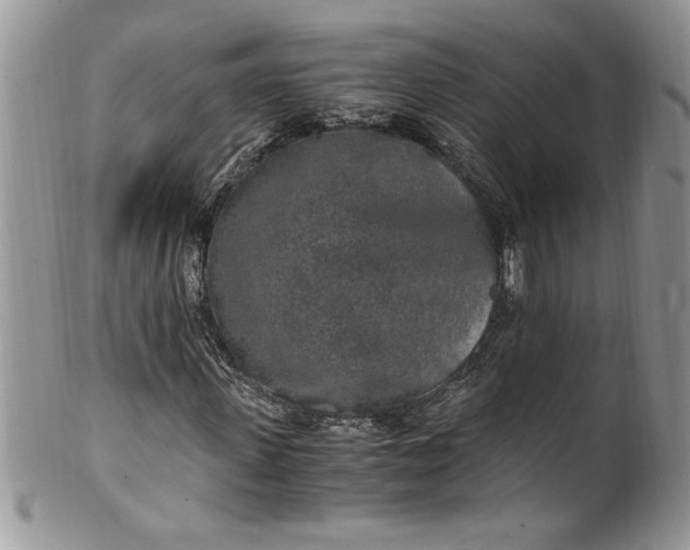 X0000100420915200806201819