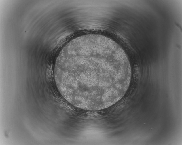 X0000100420918200806201819