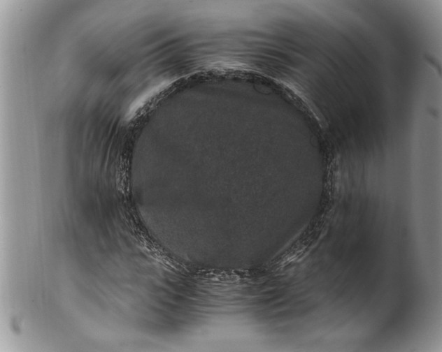 X0000100420919200806201819