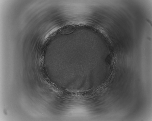 X0000100420920200806201819