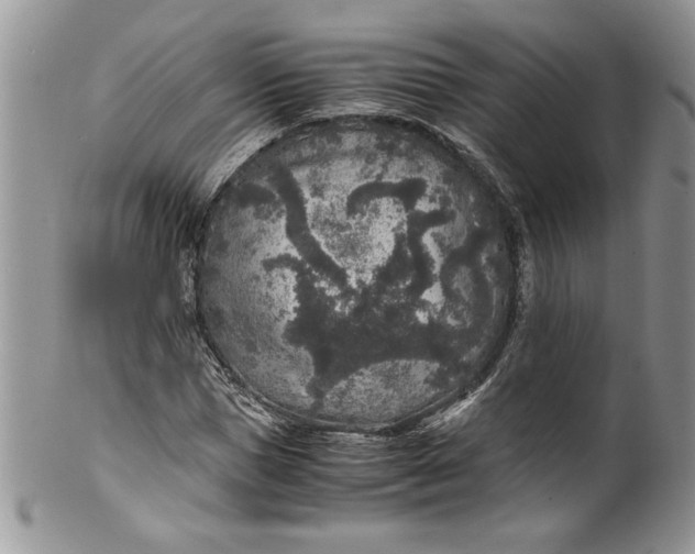 X0000100420921200806201819