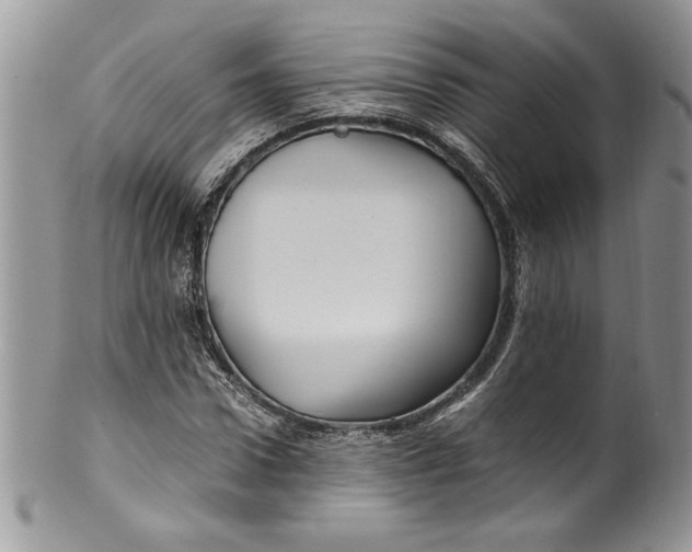 X0000100420922200806201819