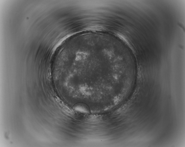 X0000100420923200806201819