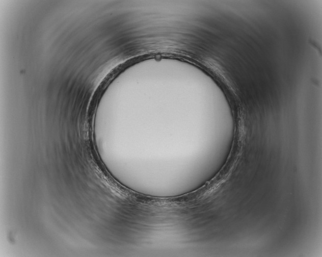 X0000100420924200806201819