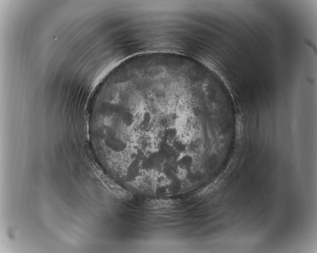 X0000100420925200806201819
