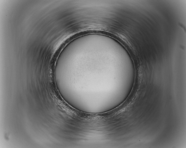 X0000100420926200806201819