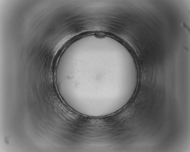 X0000100420927200806201819