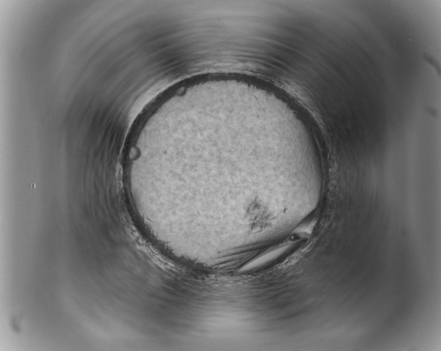 X0000100420928200806201819