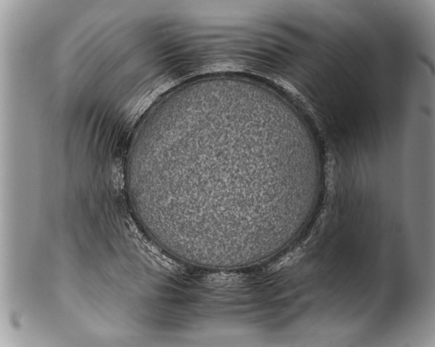 X0000100420929200806201819