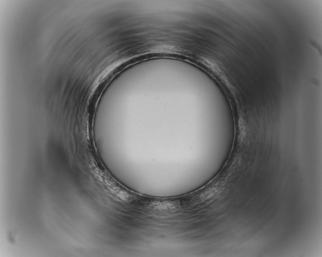 X0000100420931200806201819