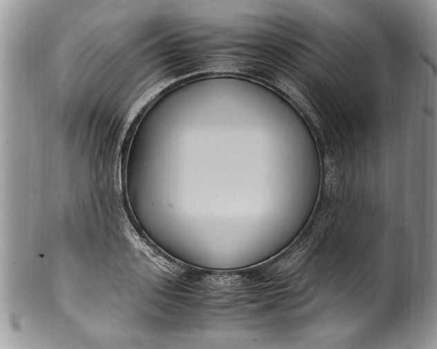 X0000100420939200806201819