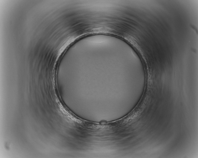 X0000100420941200806201819