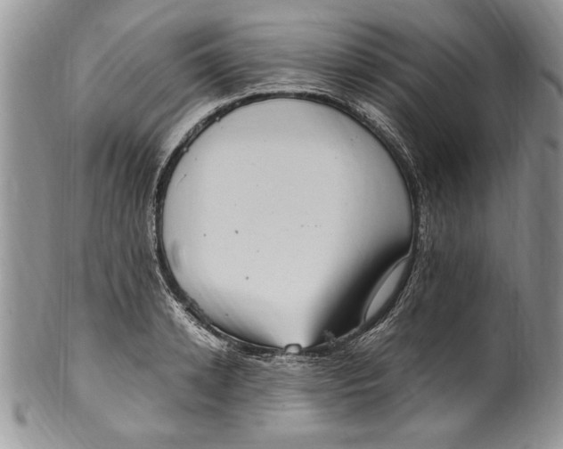 X0000100420942200806201819