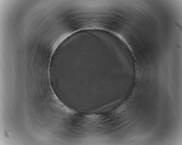 X0000100420943200806201819