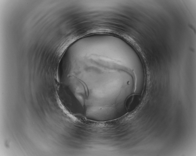 X0000100420945200806201819