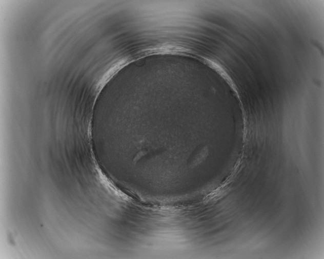 X0000100420946200806201819
