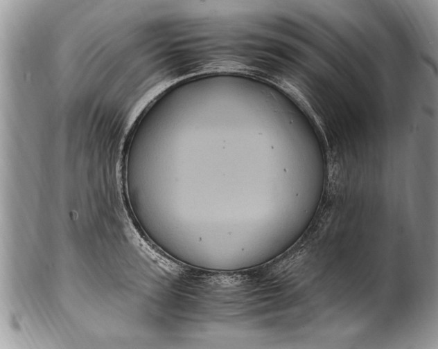X0000100420947200806201819