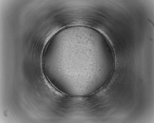 X0000100420949200806201819