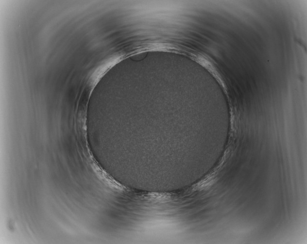 X0000100420954200806201820