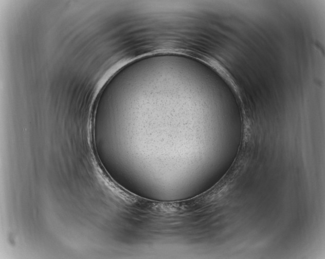 X0000100420955200806201820