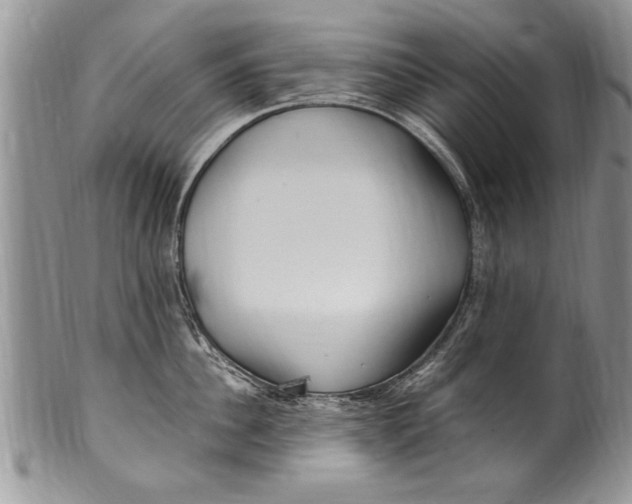 X0000100420956200806201820
