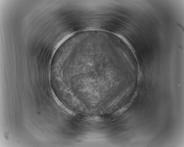 X0000100420957200806201820