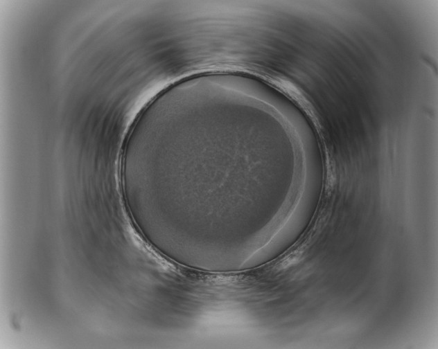 X0000100420958200806201820