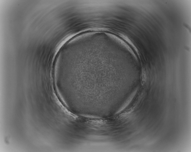 X0000100420959200806201820