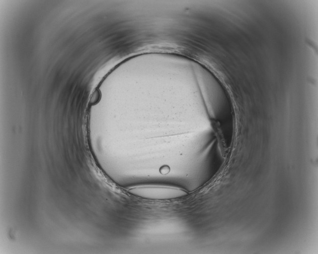 X0000100420960200806201820