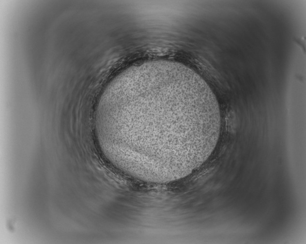 X0000100420961200806201819
