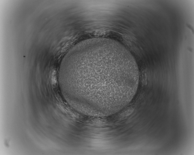 X0000100420962200806201819