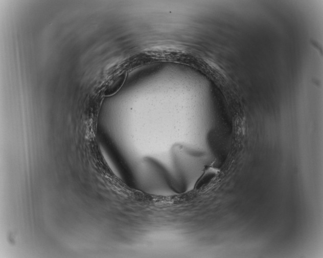 X0000100420965200806201819