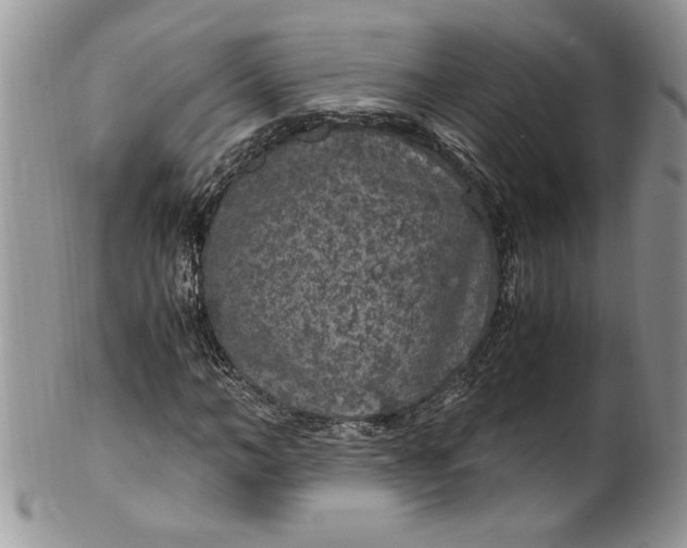 X0000100420966200806201819