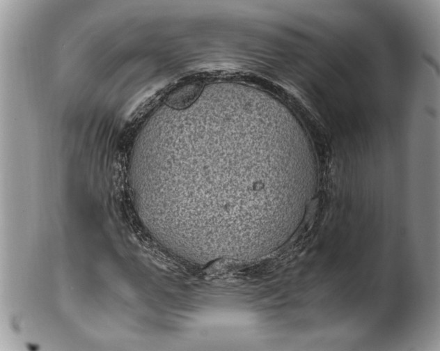 X0000100420967200806201819