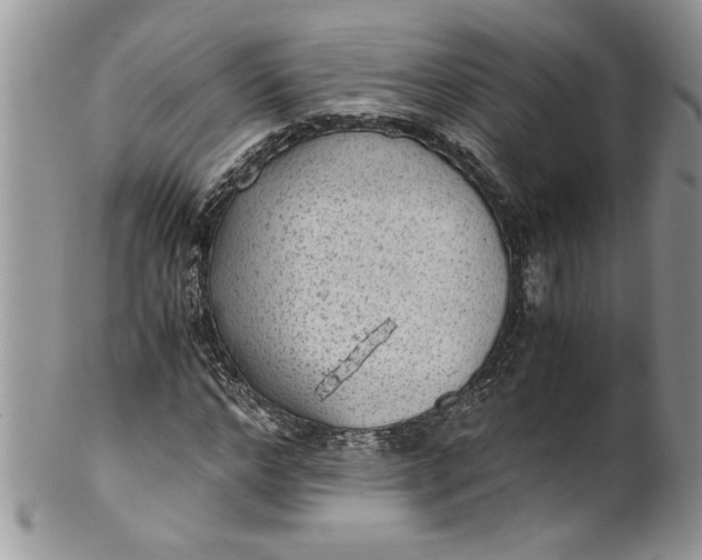 X0000100420968200806201819