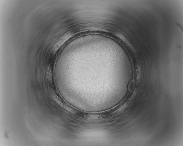 X0000100420969200806201819