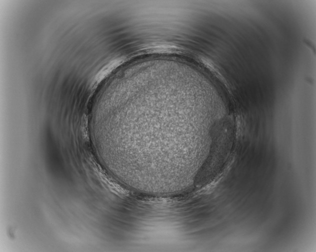 X0000100420970200806201819