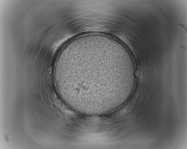 X0000100420971200806201819