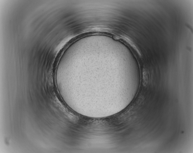 X0000100420972200806201819